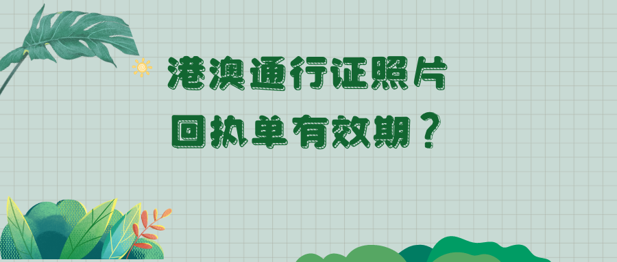 港澳通行证照片回执单有效期？