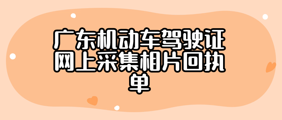 广东机动车驾驶证网上采集相片回执单