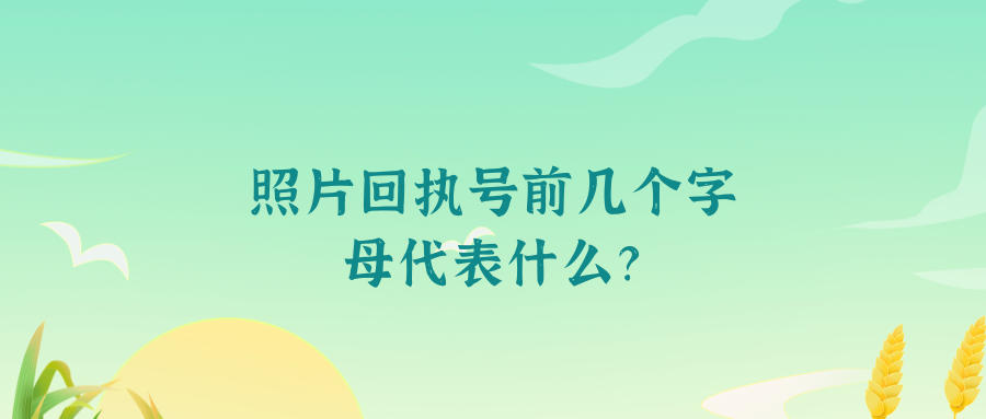 数码回执号前几个字母是代表什么？