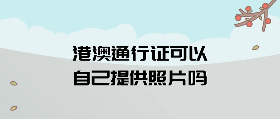 港澳通行证可以自己提供照片吗